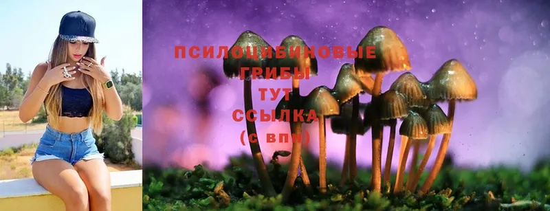 Псилоцибиновые грибы Magic Shrooms  гидра зеркало  Баксан 